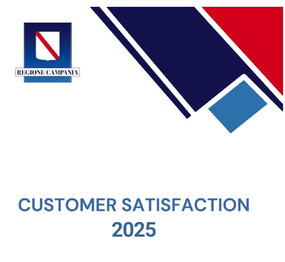 castomer satisfaction 2025